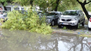 Búrková smršť v Petržalke 06